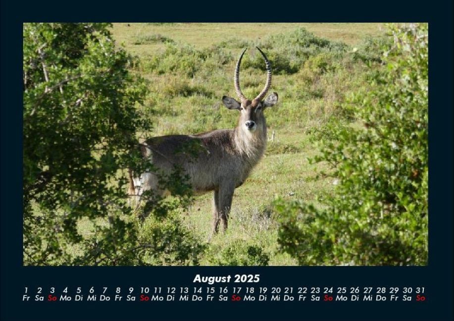 InsideView 12