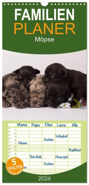 Familienplaner 2026 - Möpse mit 5 Spalten (Wandkalender, 21 x 45 cm) CALVENDO - Yvonne Obermüller Fotografie