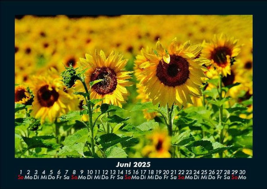 InsideView 10