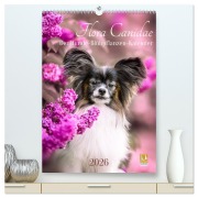Cover-Bild zum Titel 'Flora Canidae - der Hunde-Blühpflanzen-Kalender (hochwertiger Premium Wandkalender 2026 DIN A2 hoch), Kunstdruck in Hochglanz' von 'Boegau-Fotos Boegau-Fotos'
