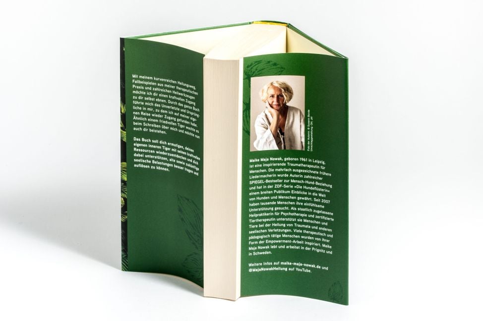 InsideView 4