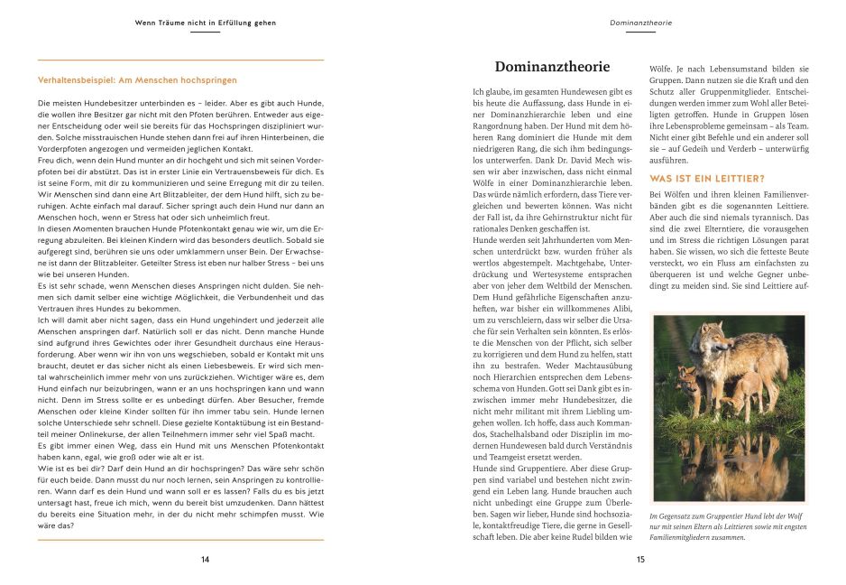 InsideView 6