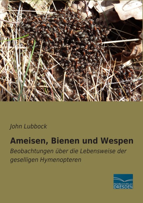 Ameisen, Bienen und Wespen - John Lubbock
