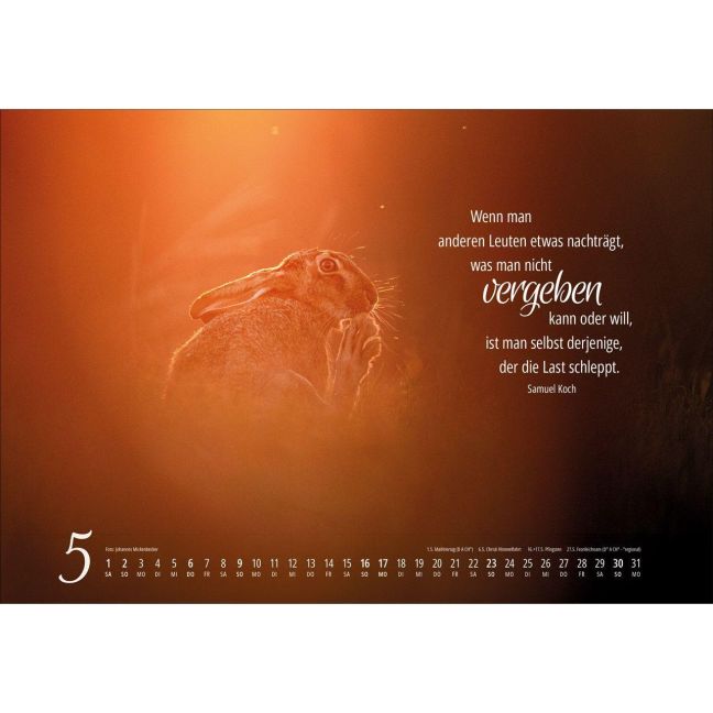 InsideView 4