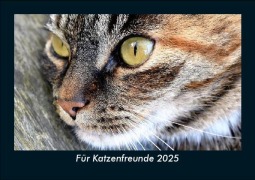 Cover-Bild zum Titel 'Für Katzenfreunde 2025 Fotokalender DIN A5' von 'Tobias Becker'