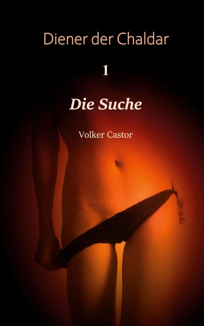 Die Suche - Volker Castor