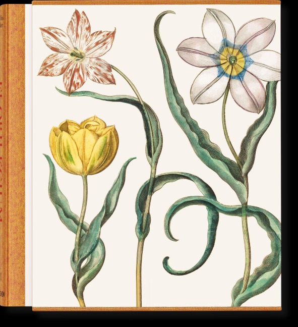 Besler. The Garden at Eichstätt - Klaus Walter Littger, Werner Dressendörfer