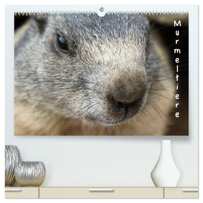 Murmeltiere (hochwertiger Premium Wandkalender 2026 DIN A2 quer), Kunstdruck in Hochglanz - Andrea Pons