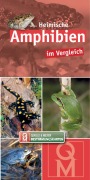 Cover-Bild zum Titel 'Heimische Amphibien im Vergleich' von ''