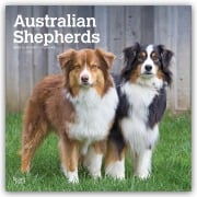 Cover-Bild zum Titel 'Australian Shepherds 2027 - 16-Monatskalender' von 'Browntrout Publishers'