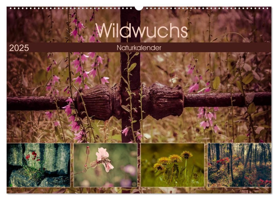 Wildwuchs 2025 (Wandkalender 2025 DIN A2 quer), CALVENDO Monatskalender - Marianne Drews