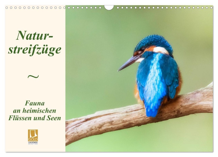 Naturstreifzüge. Fauna an heimischen Flüssen und Seen (Wandkalender 2025 DIN A3 quer), CALVENDO Monatskalender - Daniela Beyer (Moqui)