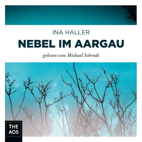 Nebel im Aargau - Ina Haller