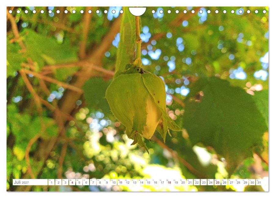 InsideView 12