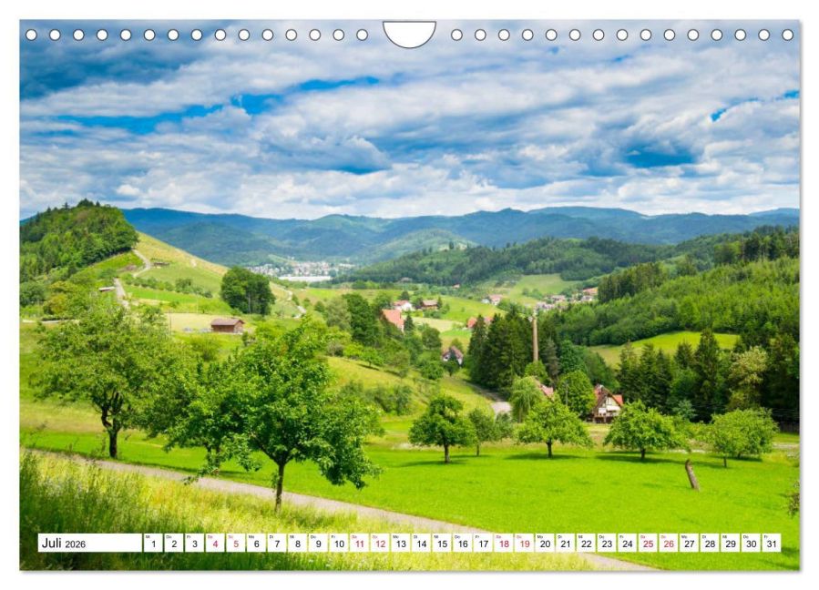 InsideView 12