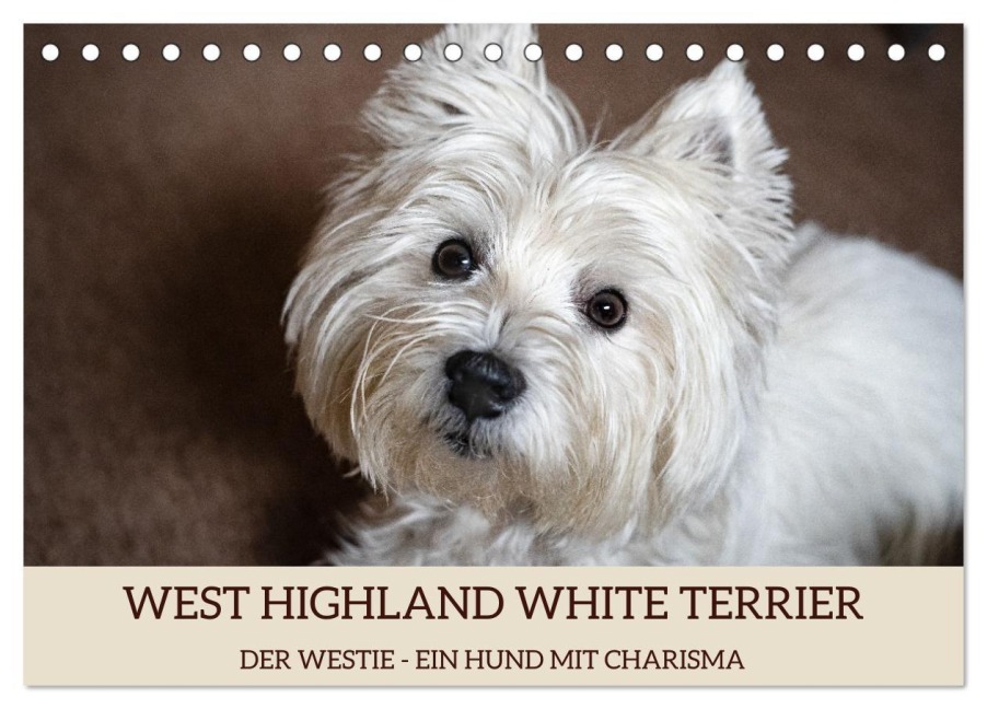 WEST HIGHLAND WHITE TERRIER - DER WESTIE - EIN HUND MIT CHARISMA (Tischkalender 2026 DIN A5 quer), CALVENDO Monatskalender - Angela Rohde