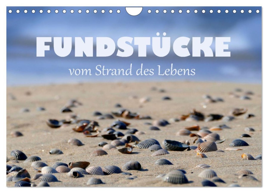 Fundstücke vom Strand des Lebens (Wandkalender 2026 DIN A4 quer), CALVENDO Monatskalender - Christine B-B Müller
