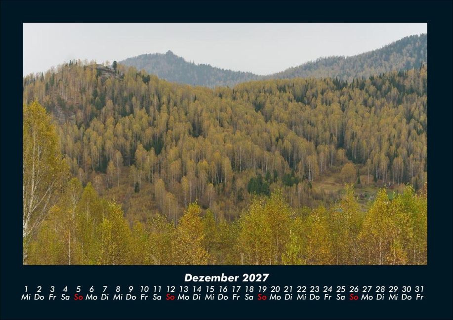 InsideView 4