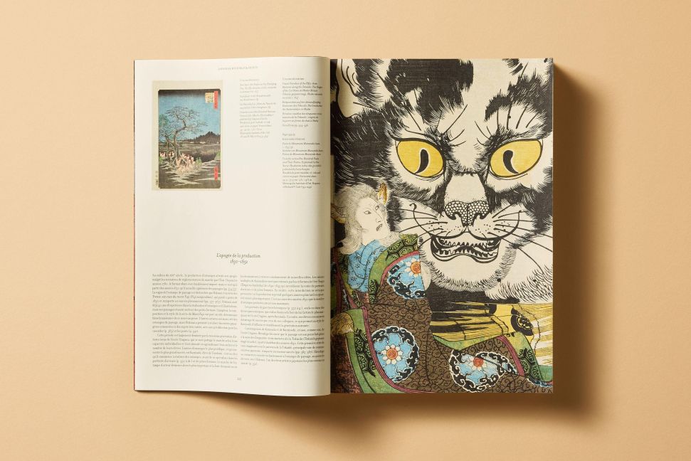 InsideView 19