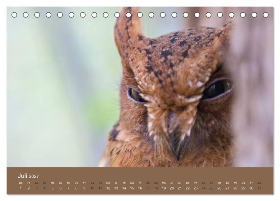 InsideView 12