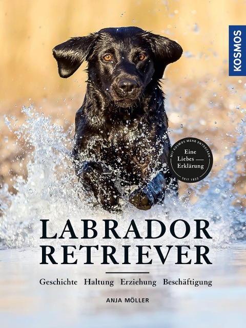 Labrador Retriever - Anja Möller