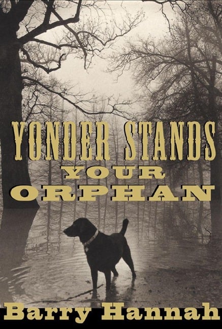 Yonder Stands Your Orphan - Barry Hannah