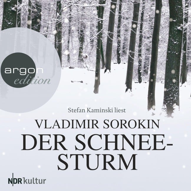 Der Schneesturm - Vladimir Sorokin
