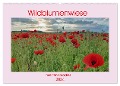 Wildblumenwiese Insektenparadies (Wandkalender 2024 DIN A2 quer), CALVENDO Monatskalender - Claudia Kleemann