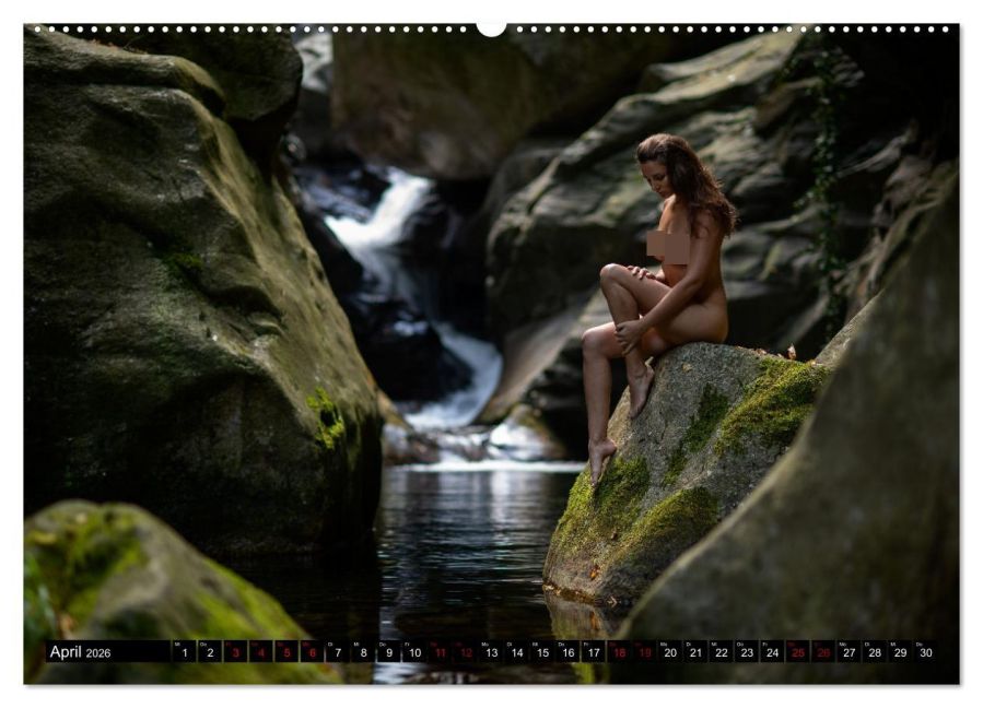 InsideView 8