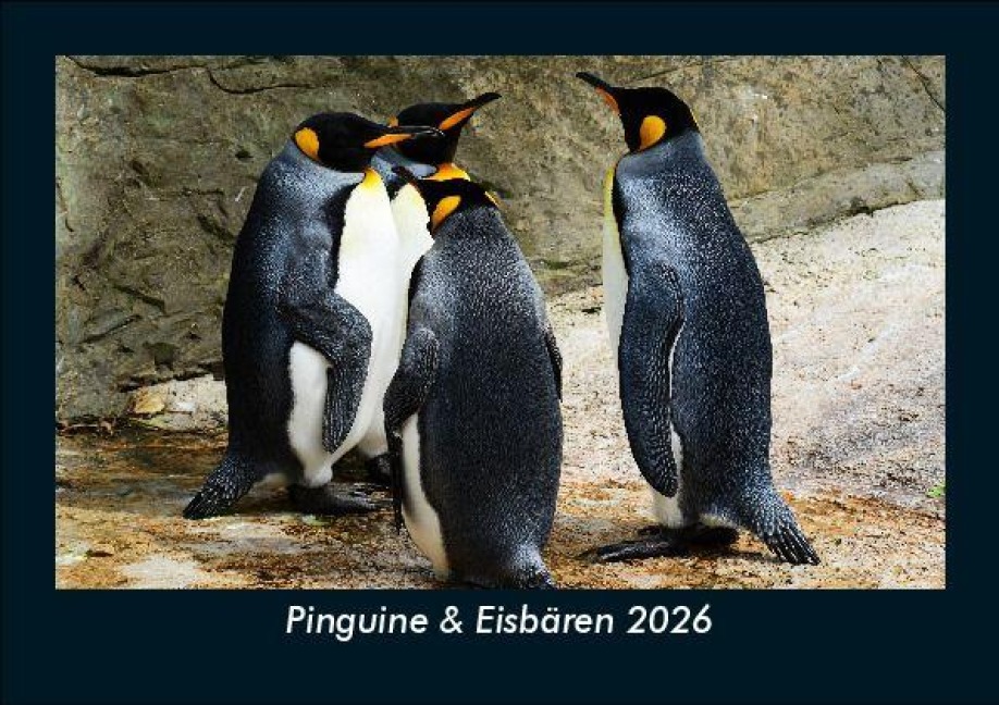 Pinguine & Eisbären 2026 Fotokalender DIN A5 - Tobias Becker