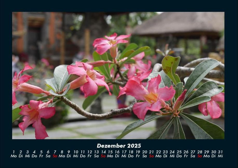 InsideView 4