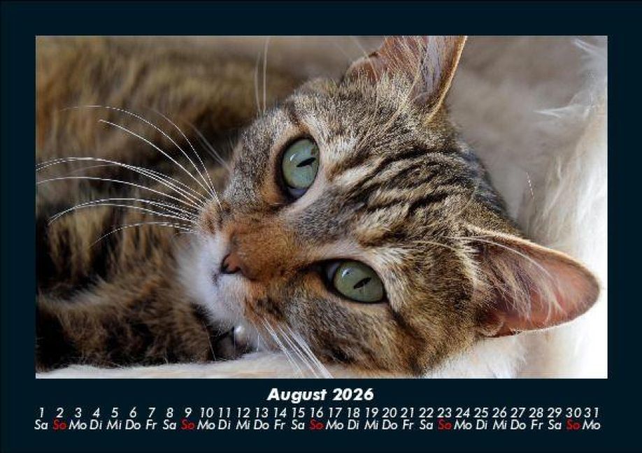 InsideView 12