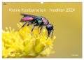 Kleine Kostbarkeiten Insekten (Wandkalender 2024 DIN A3 quer), CALVENDO Monatskalender - Sonja Haase