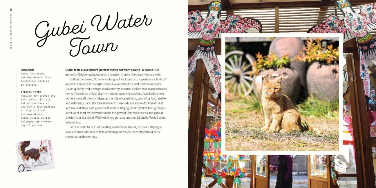InsideView 16