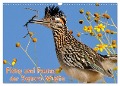 Flora und Fauna der Sonora Wüste (Wandkalender 2024 DIN A3 quer), CALVENDO Monatskalender - Dieter Wilczek
