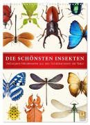 Cover-Bild zum Titel 'Die schönsten Insekten (Wandkalender 2026 DIN A3 hoch), CALVENDO Monatskalender' von 'Wildlife Art Print'