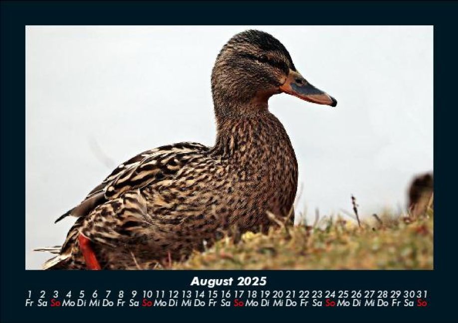 InsideView 12