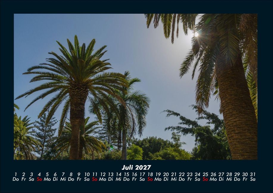 InsideView 11