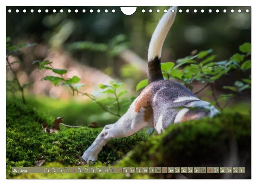 InsideView 12