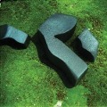 Cover-Bild zum Titel 'Heart Pressed Between Stones' von 'Camila Fuchs'