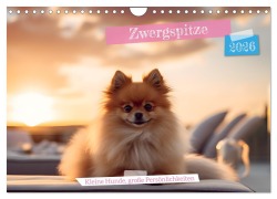 Zwergspitze - kleine Hunde, große Persönlichkeiten (Wandkalender 2026 DIN A4 quer), CALVENDO Monatskalender - Gisela Walther