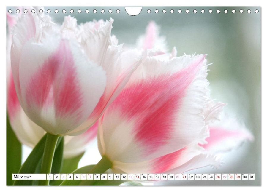InsideView 8