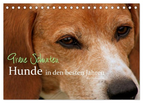 Graue Schnuten - Hunde in den besten Jahren (Tischkalender 2024 DIN A5 quer), CALVENDO Monatskalender - Kerstin Grüttner