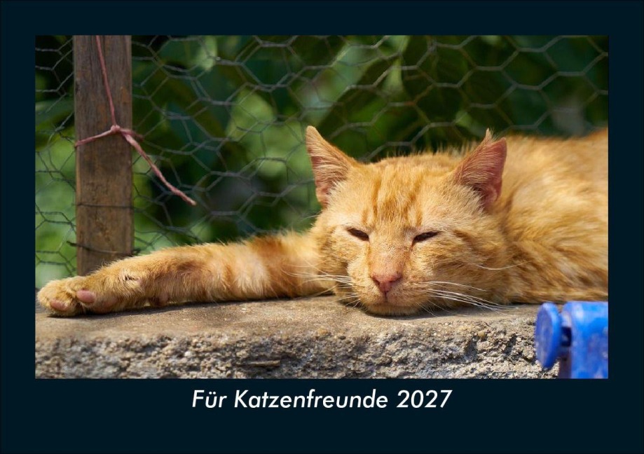 Für Katzenfreunde 2027 Fotokalender DIN A5 - Tobias Schmitt, Kevin Heber