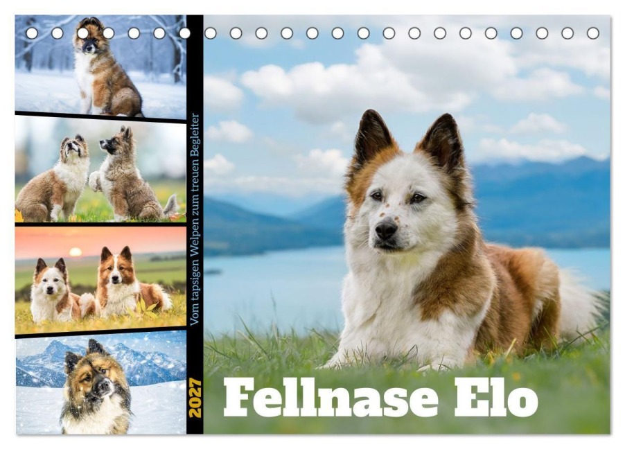 Fellnase Elo. Vom tapsigen Welpen zum treuen Begleiter (Tischkalender 2027 DIN A5 quer), CALVENDO Monatskalender - Jana K. Fotografie