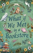 Cover-Bild zum Titel 'What If We Met In A Bookstore' von 'Callie McLay'