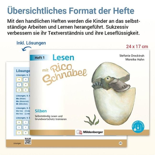 InsideView 6