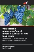 Valutazione ampelografica di diverse cultivar di vite in Albania - Elizabeta Susaj, Lush Susaj