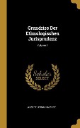 Grundriss Der Ethnologischen Jurisprudenz; Volume 1 - Albert Hermann Post