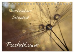 Unscheinbare Schönheit - Pusteblume (Tischkalender 2025 DIN A5 quer), CALVENDO Monatskalender - Judith Doberstein